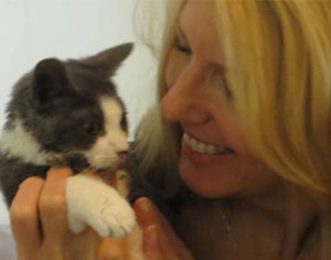 Lauren McCarron, founder of Joyful Pets Rescue, holding a rescue kitten